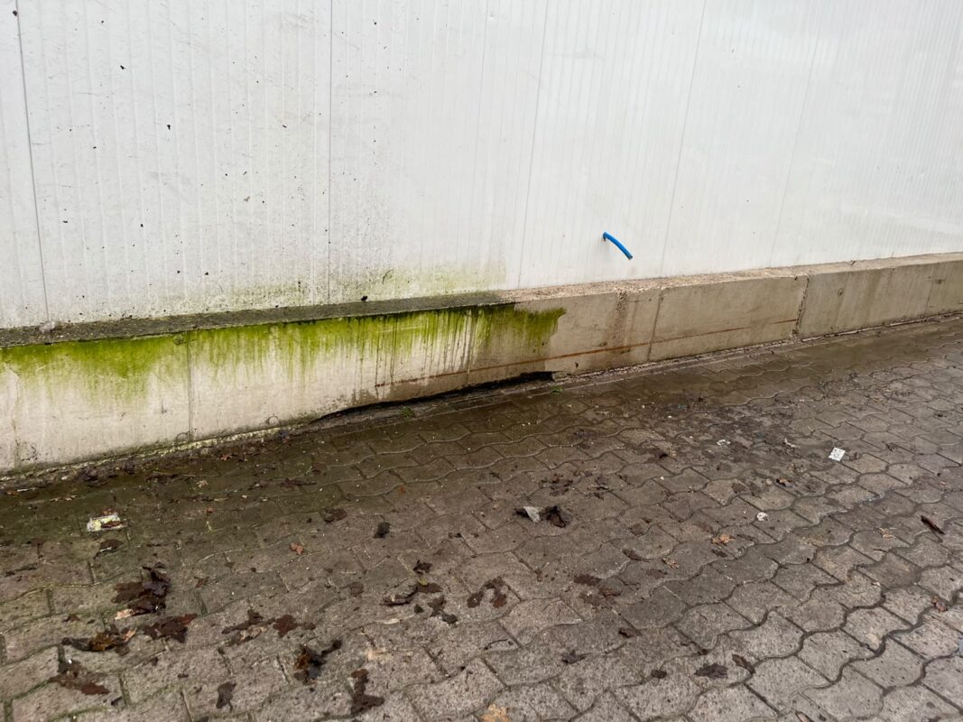 rs-dienstleistungsservice43