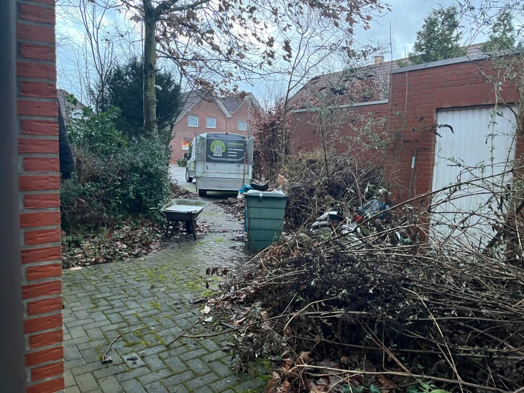 rs-dienstleistungsservice55