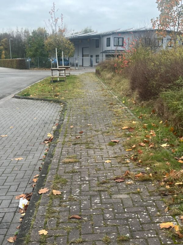 rs-dienstleistungsservice58